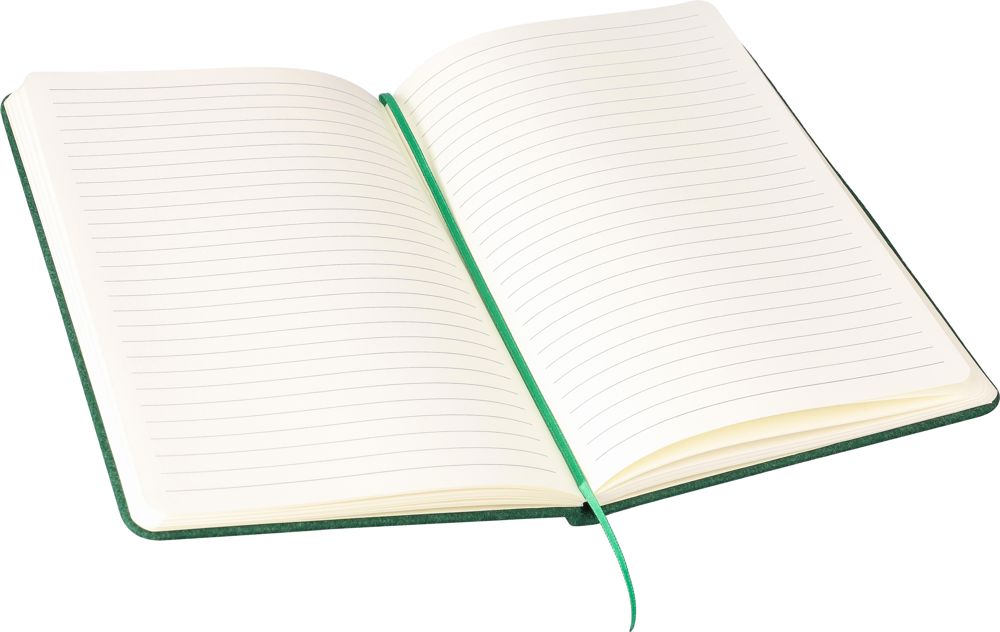 Notizbuch Danio | Filz | A5 | Liniert